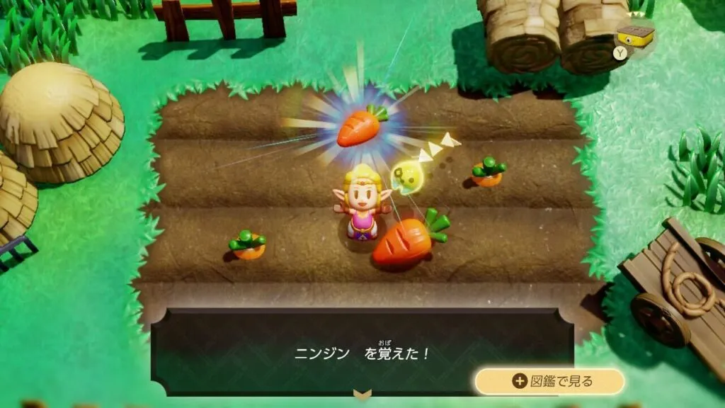 『ゼルダの伝説 知恵のかりもの』ニンジンのカリモノ登録