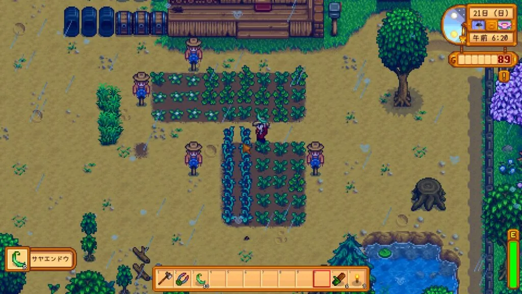 『Stardew Valley』でサヤエンドウを収穫する画像