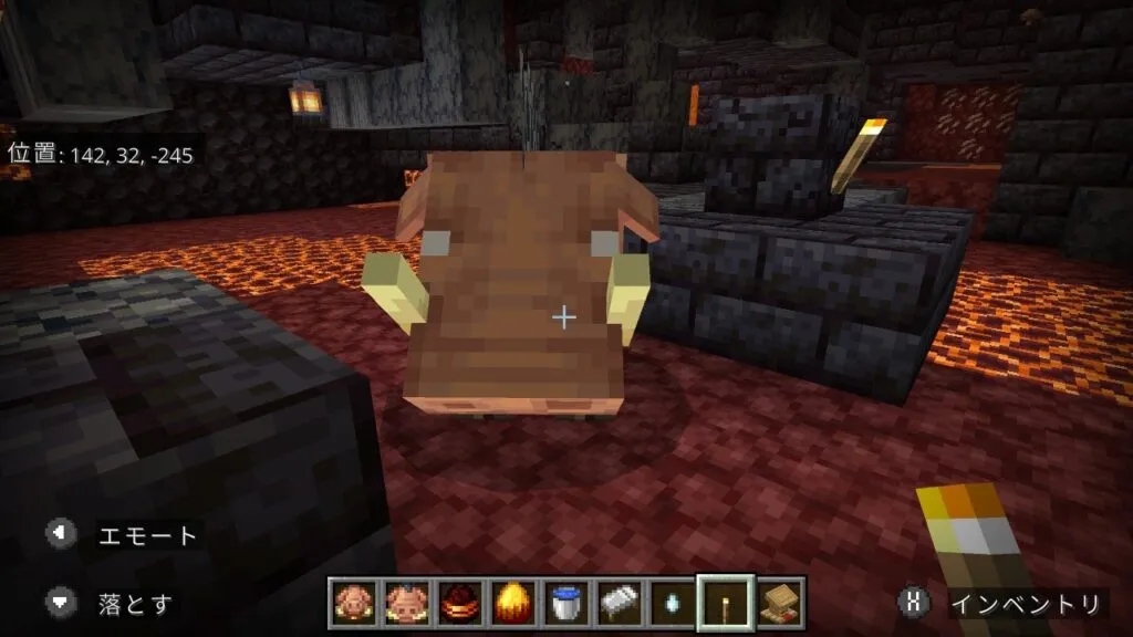 『マイクラ』ホグリンの前に立つプレイヤー。