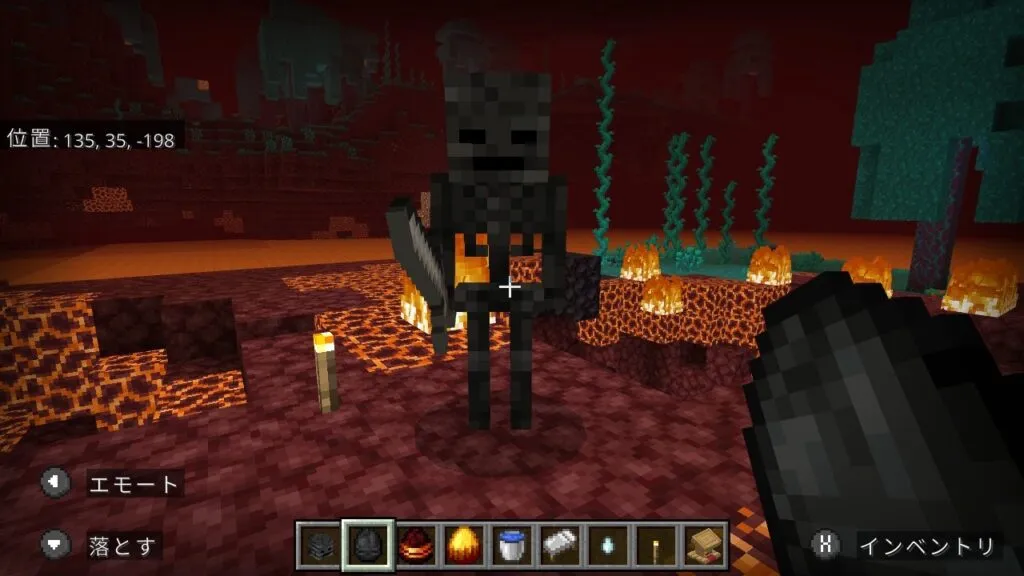 『マイクラ』ウィザースケルトンの前に立つプレイヤー。