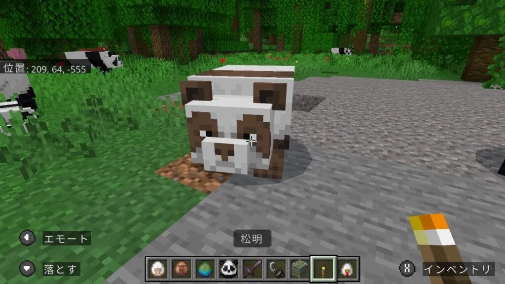『マイクラ』茶色パンダの前に立つプレイヤー。