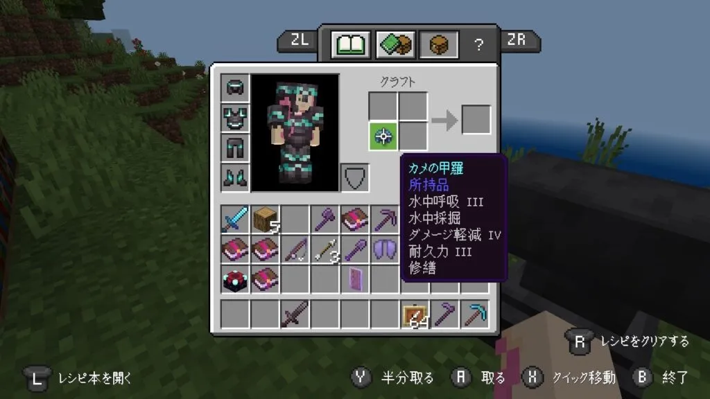 『マイクラ』カメの甲羅に付いているエンチャントを確認している。