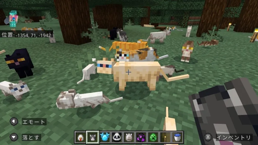 『マイクラ』ネコの前に立つプレイヤー。