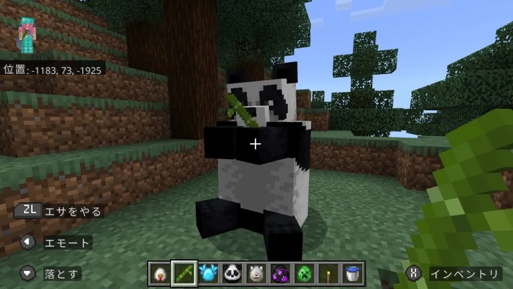 『マイクラ』パンダの前に立つプレイヤー。
