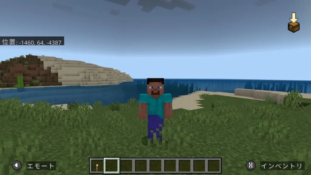 『マイクラ』スティーブを見ているプレイヤー。