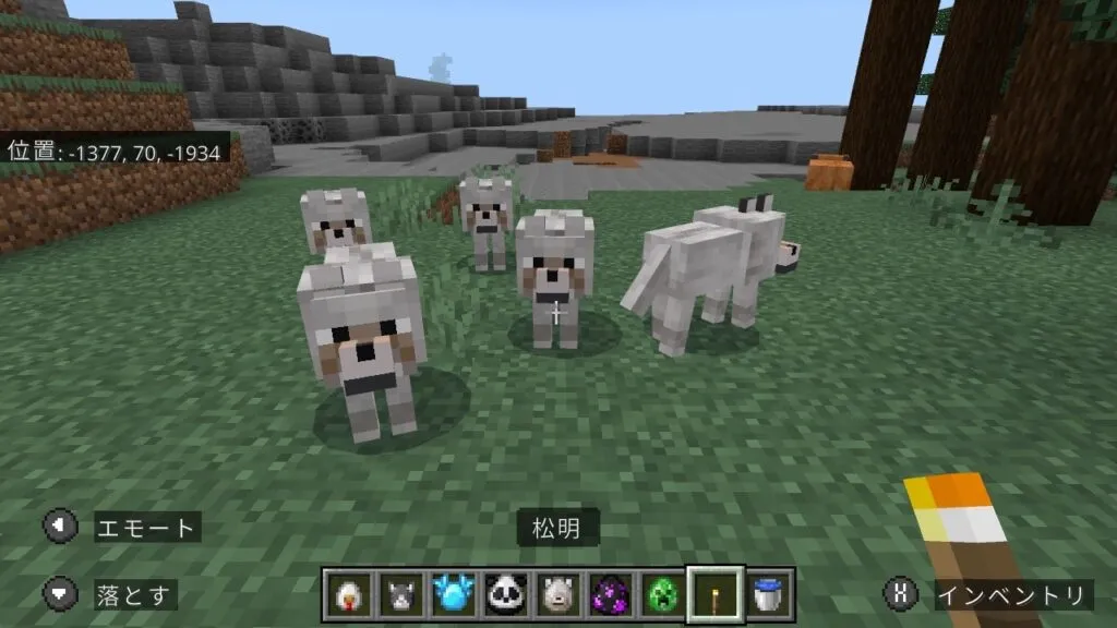 『マイクラ』オオカミの前に立つプレイヤー。