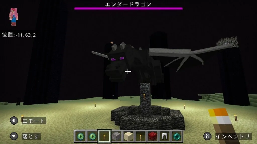 『マイクラ』エンダードラゴンの前にいるプレイヤー。