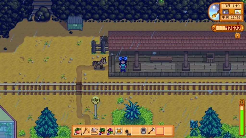 『Stardew Valley』駅