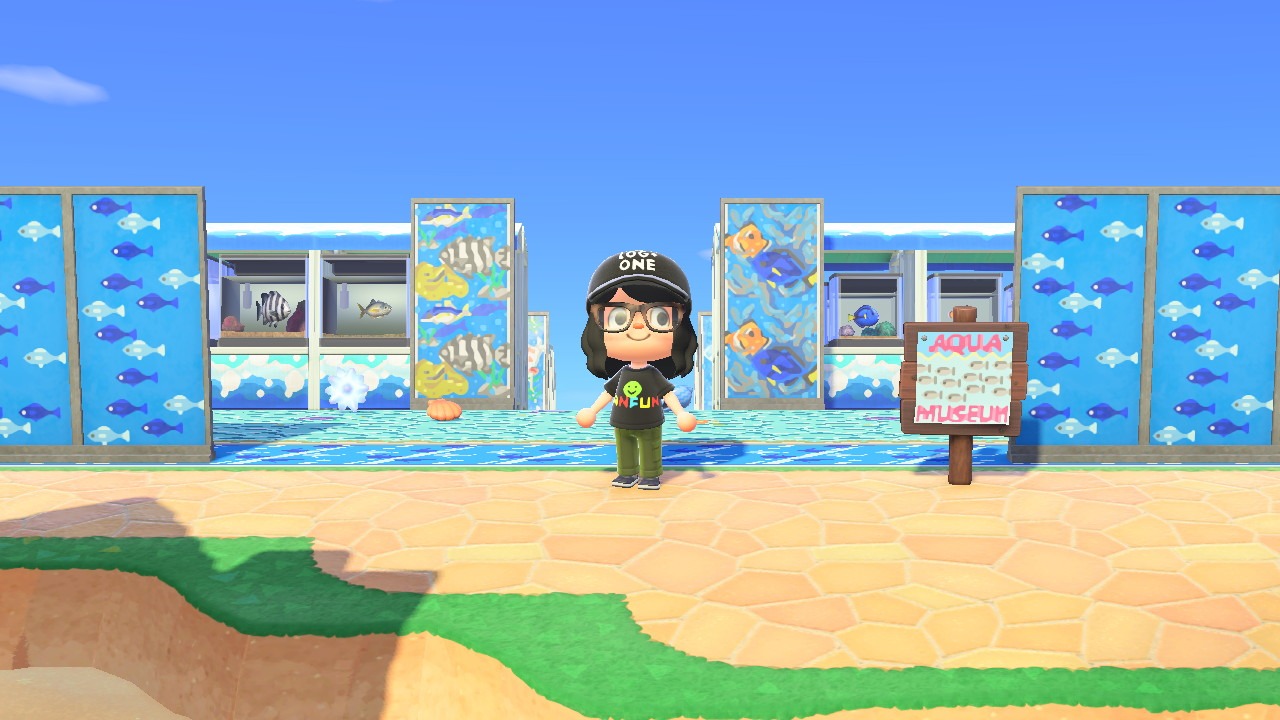 はっけい島風景水槽前