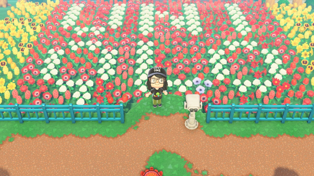 UNIQLO島のお花畑