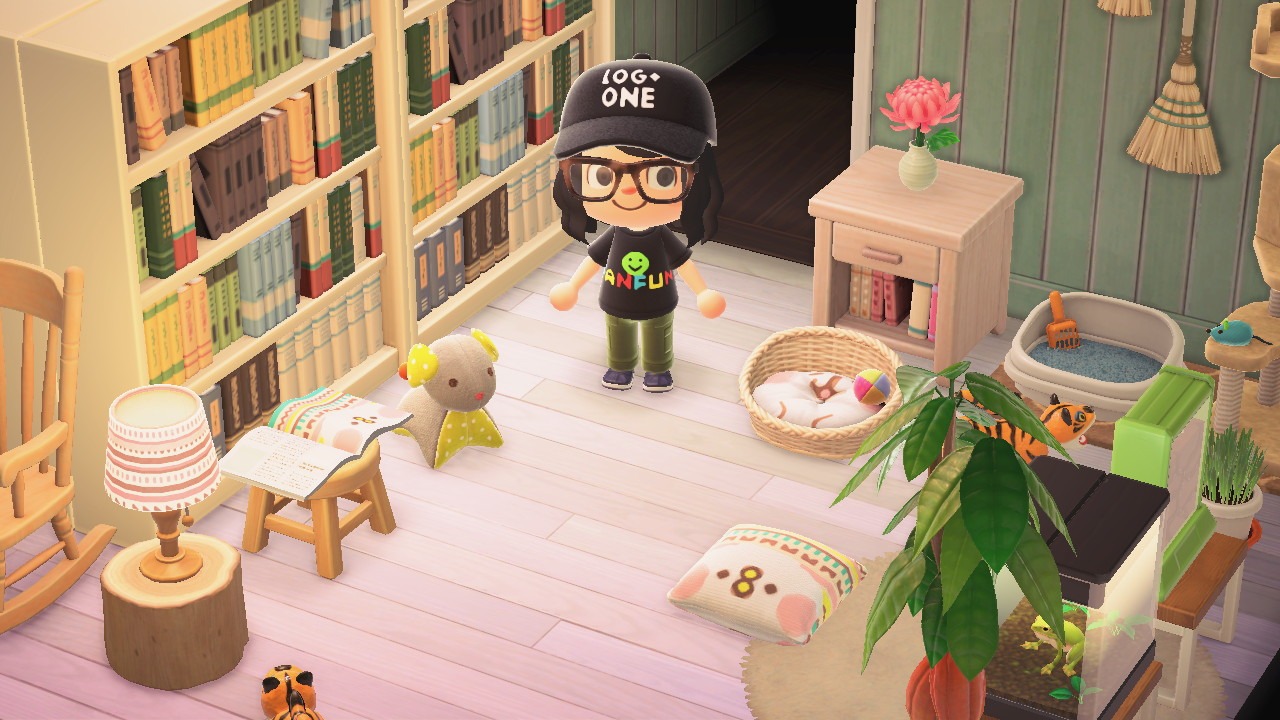 『あつまれ どうぶつの森』カナヘイの島の部屋