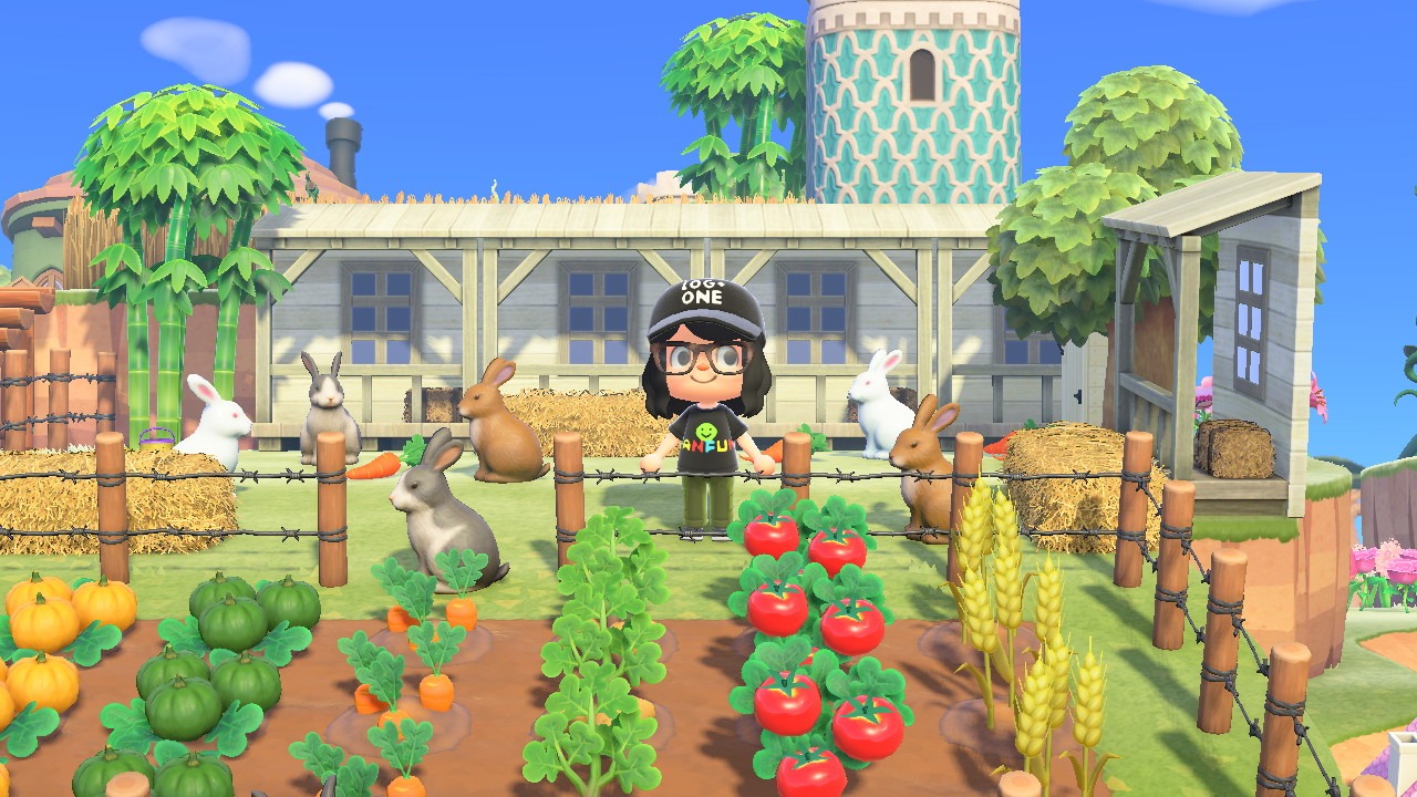 Torito島の風景、ウサギ小屋
