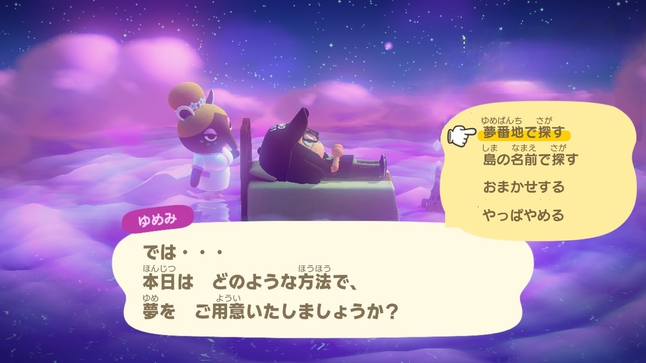 『あつまれ どうぶつの森』夢の見かた、履歴なし