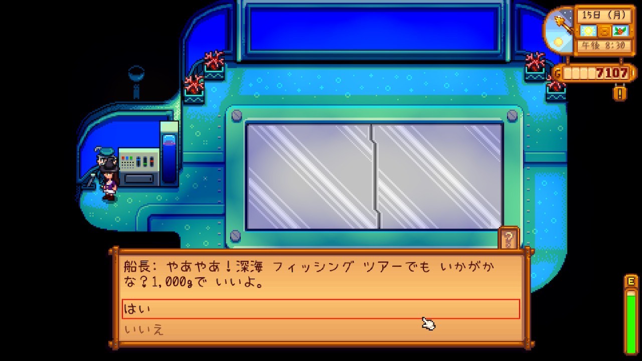 『Stardew Valley』夜の市