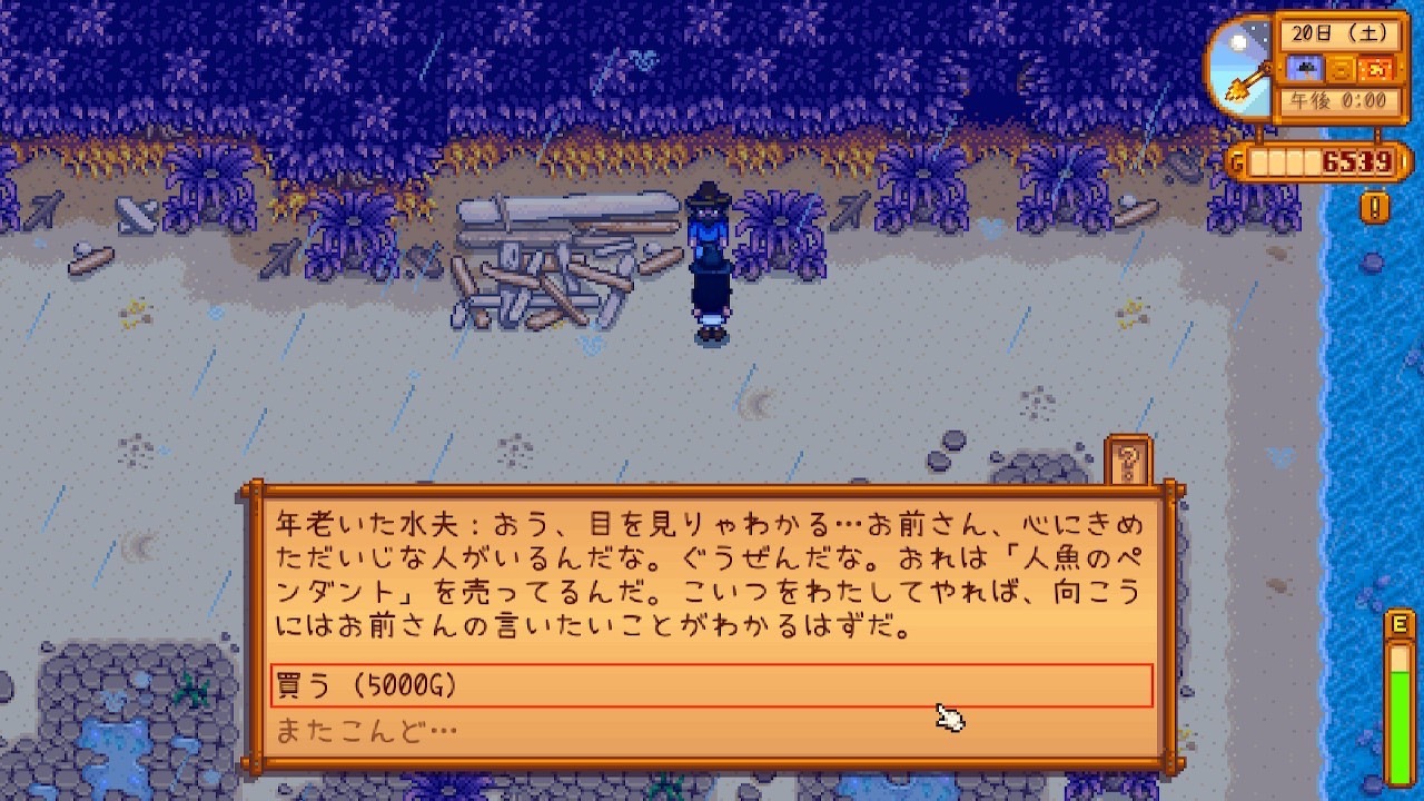『Stardew Valley』年老いた水夫