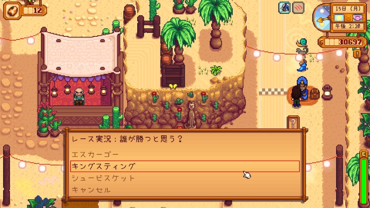『Stardew Valley』レース